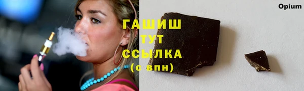 крисы Вязьма