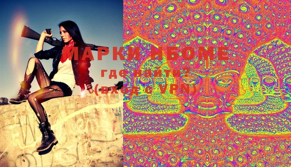 крисы Вязьма